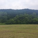 마장리 목장 네이버블로그