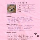 1476 | [#1476] 루루(양측 고관절 대퇴골두 절제술)의 수술후기