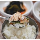 제주기사 이미지