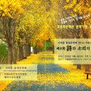 문학과 함께하는 시낭송 이미지