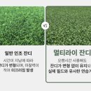 JS 실내 골프연습장 이미지