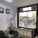 프리티 도그 이미지