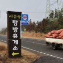 꿀휴계소