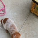 이리농장 이미지