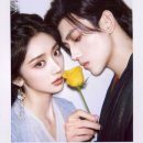 여가 | 중드 후기 ( 금월여가 • 헌어 등… )