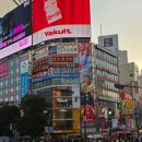 [쇼핑중독자의 나 홀로 도쿄 여행 ⑦] 시부야 :: 록시땅의 폭력적인 가격 :: 우오베이 스시 :: 메가 돈...