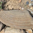 등산로(하) 이미지