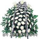 괴정1동-18 이미지