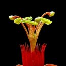 당신의 인생사진 이미지