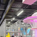 오성체력관리센타 | 송파대형키즈카페 끝판왕 바운스 송파센터 신나게 체력 빼고 온 후기