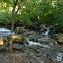 강당골 Daum카페