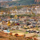 함안사랑연합의원 이미지