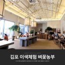 수아농산물판매 | 김포 아이들과 가볼만한곳 벼꽃농부 농촌체험, 꿀떡만들기
