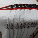 용인대독수리태권도 이미지