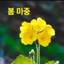 목구멍 - 미추홀구 토금중로 16 | 목구멍