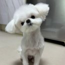 [2025년 3월 일상 1편]
