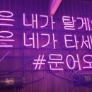 제주도파티게스트하우스문어오빠