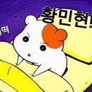 이즈해어 Daum카페