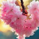 그렇게 다시 이미지