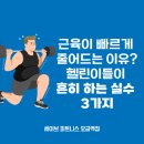 세이브피트니스오금 이미지