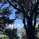 라벤더 민박 이미지