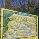 저스트스테이호텔 서산호수공원점 | [공지] 서산 수선화 핫플 &#39;유기방 가옥&#39; 후기 +카페 만조