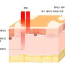 스튜디오 온프 이미지