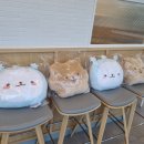 설빙금촌역점 이미지