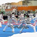 용인대 꿈꾸는 태권도 이미지
