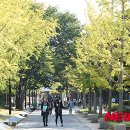 주말 이미지