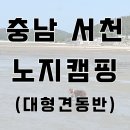 대정성지 | 충남 서천 노지캠핑 후기｜대형견과 조용한 바닷가캠핑