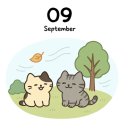 싱싱카센터 | 9월의 기록(2)🌞🌞🌞🌬🌬☔☔