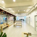 디에스 동물메디컬 이미지