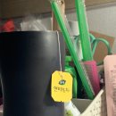 틀니쟁이 이미지