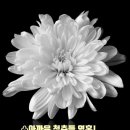 가양3동 이미지