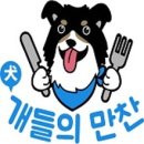 개들만찬 이미지