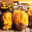 전라도호박고구마10kg 직거래 이미지