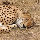 라라PC방 이미지