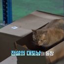 광덕사료