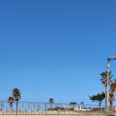 대명드림약국 이미지