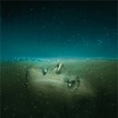 대왕상사 | [드라마] 앱센시아(Absentia) 시즌 1 후기