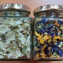 (사)경북장애인권익협회 영천시지회 이미지