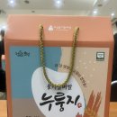 이십사년 사월 일상 🌸