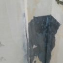 옥성초등학교 병설유치원 이미지