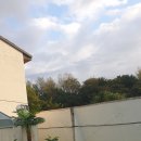 벨라몽 애견호텔 이미지