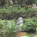 서울 방학동 전형필 가옥 이미지