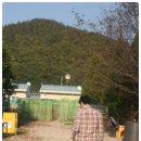 스마트 애견 이미지