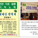 새마을장학회 가을단풍문학기행 10월20일 영월태백삼척. 단장-고려대교수 이학영박사 후원-550시인회 가촌문학회 사회복지공동모금회 명동물산 코인스보험대리점 이미지