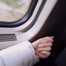 네네치킨운천점 | 월드컵과 함께 한 강글이의 11월 4주차 마지막 블챌