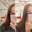 CU원당사거리점 | 완정역 미용실 방역패스 헤어 케어 트리트먼트 추천 : 26도헤어 원당점